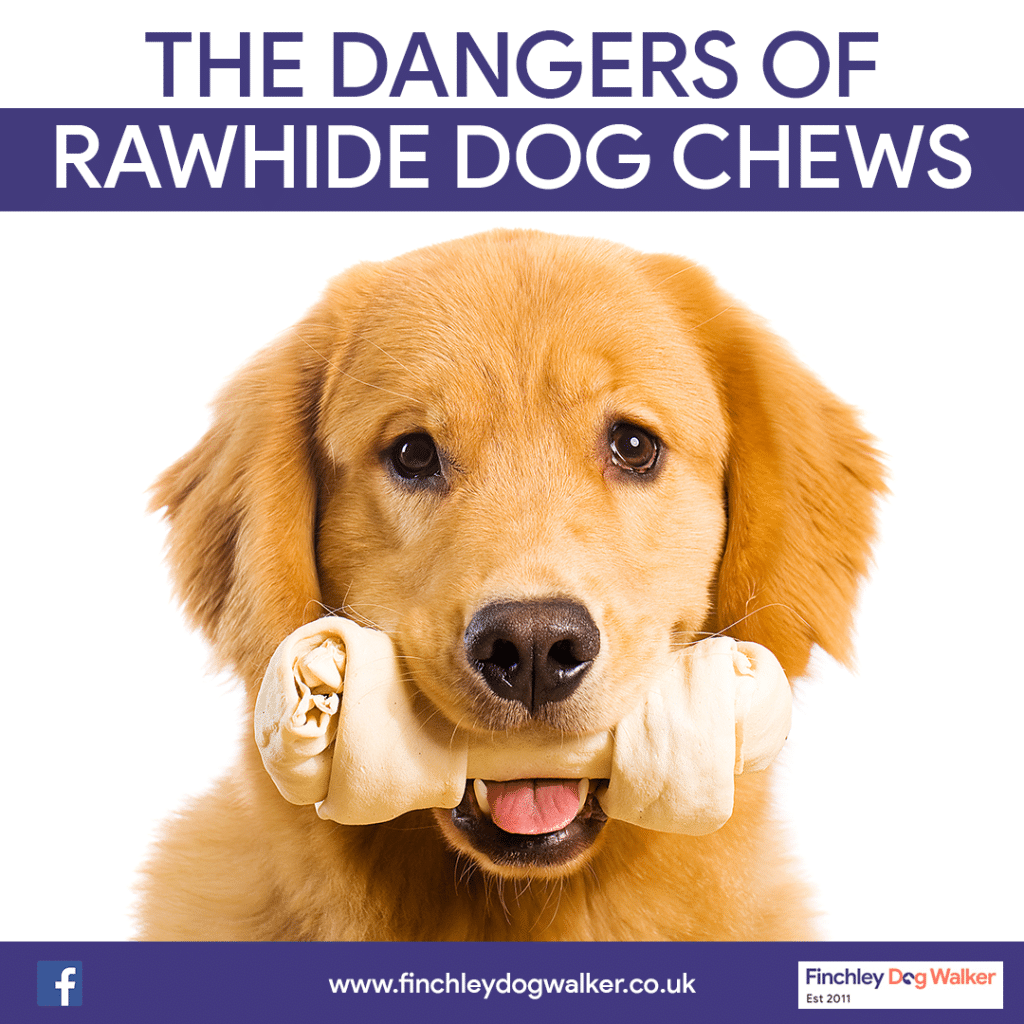 Dangers of rawhide dog chew