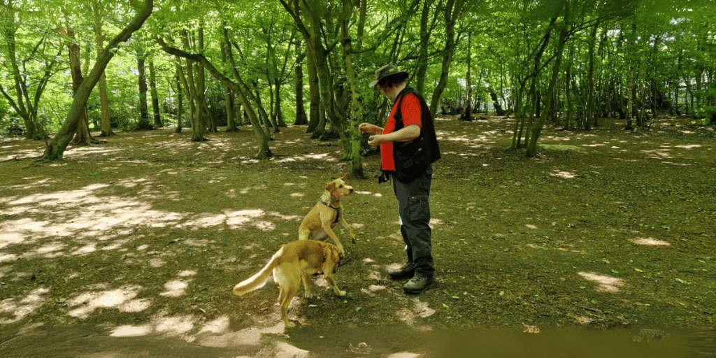 contact finchley dog walker