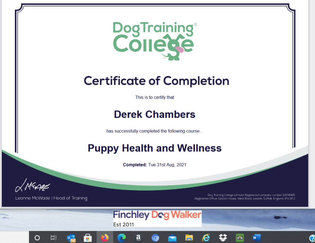 puppy support Finchley cert