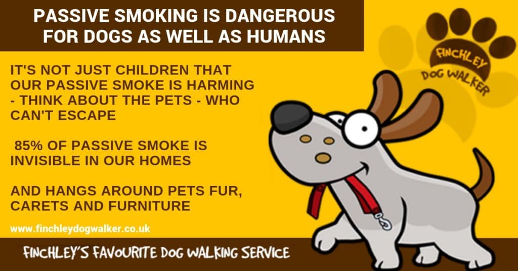 PASSIVE-SMOKING-1024x536 Passive Smoking and your Pets