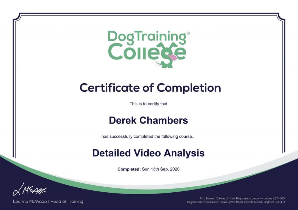 0001-1024x724 Dog Training And Pet Care certificates