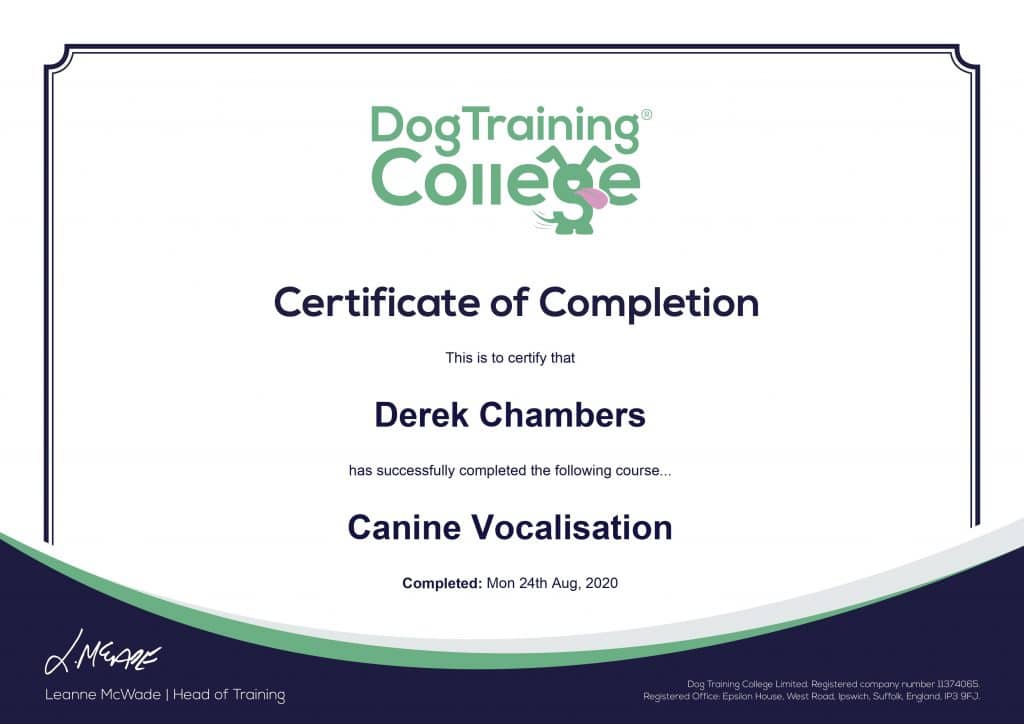 00011-1024x724 Dog Training And Pet Care certificates