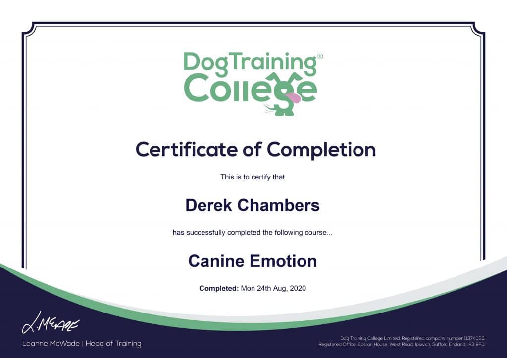 canine-emotion-1024x724 Dog Training And Pet Care certificates