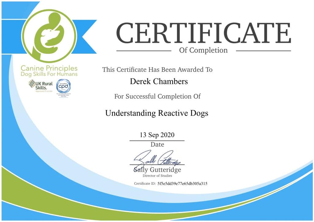 certificateunderstanding-1-1024x724 Dog Training And Pet Care certificates