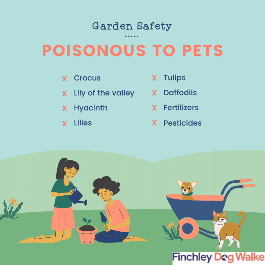 Copy-of-Garden-Safety-1024x1024 Dogs and Plants: Toxic and Non-Toxic