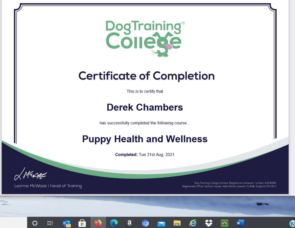 PUPPY-AND-HEALTH-DOG-TRAINING-COLLEGE-1024x791 Welcoming a New Dog?