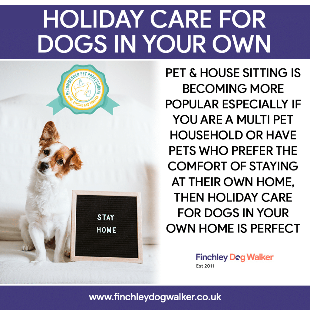 Holiday-care-for-dogs-in-your-own-home-002-1024x1024 Jargon Busting: Pet Sitting vs. Home Boarding — What’s Best for Your Dog?