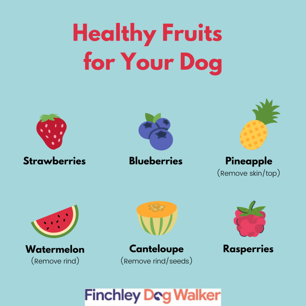 Copy-of-Healthy-Summer-Snacks-1024x1024 What fruits are safe for dogs to eat?