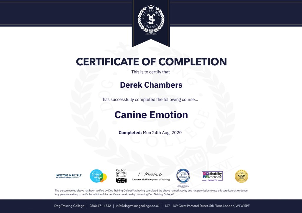 Derek-Canine-Emotion-Certificate-of-Completion-Dog-Training-College.pdf-1024x724 Training and Socialising  Walks for Rescue Dogs