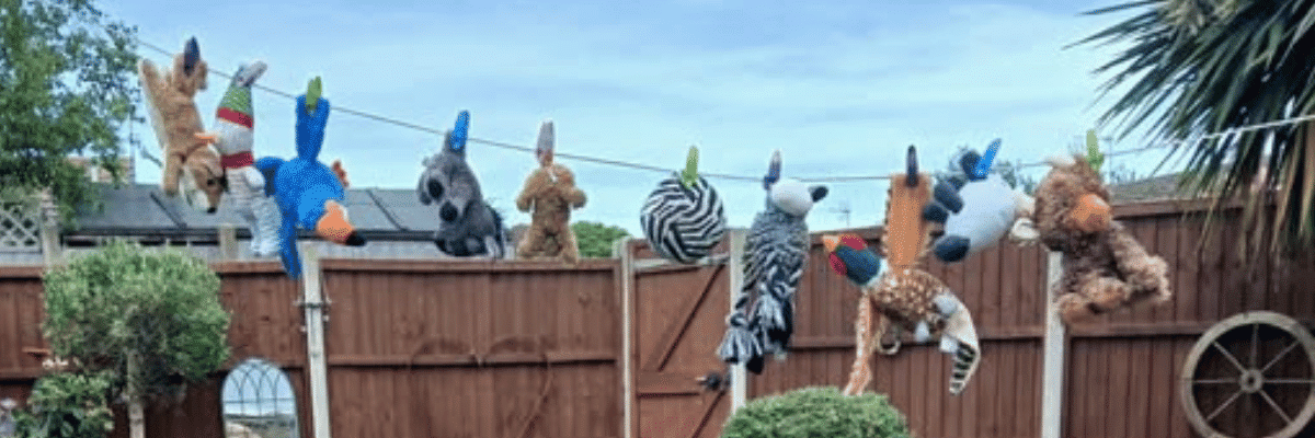 How to Clean Dog Toys Safely