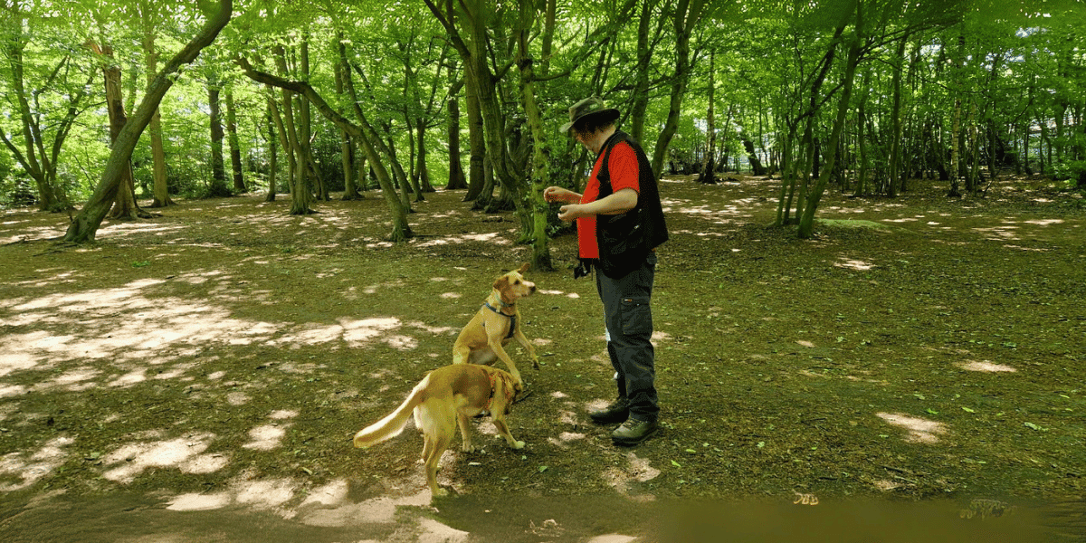 contact finchley dog walker