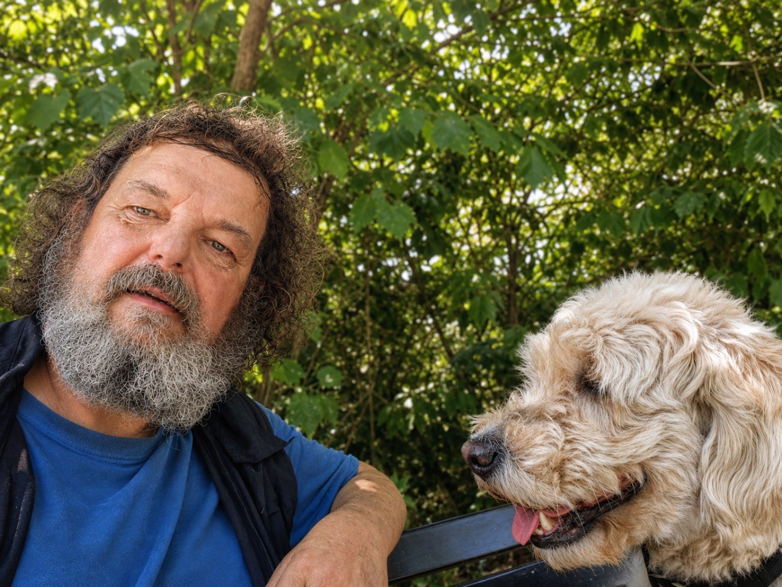 Derek "Del" Chambers: Your Local Finchley Dog Walker
